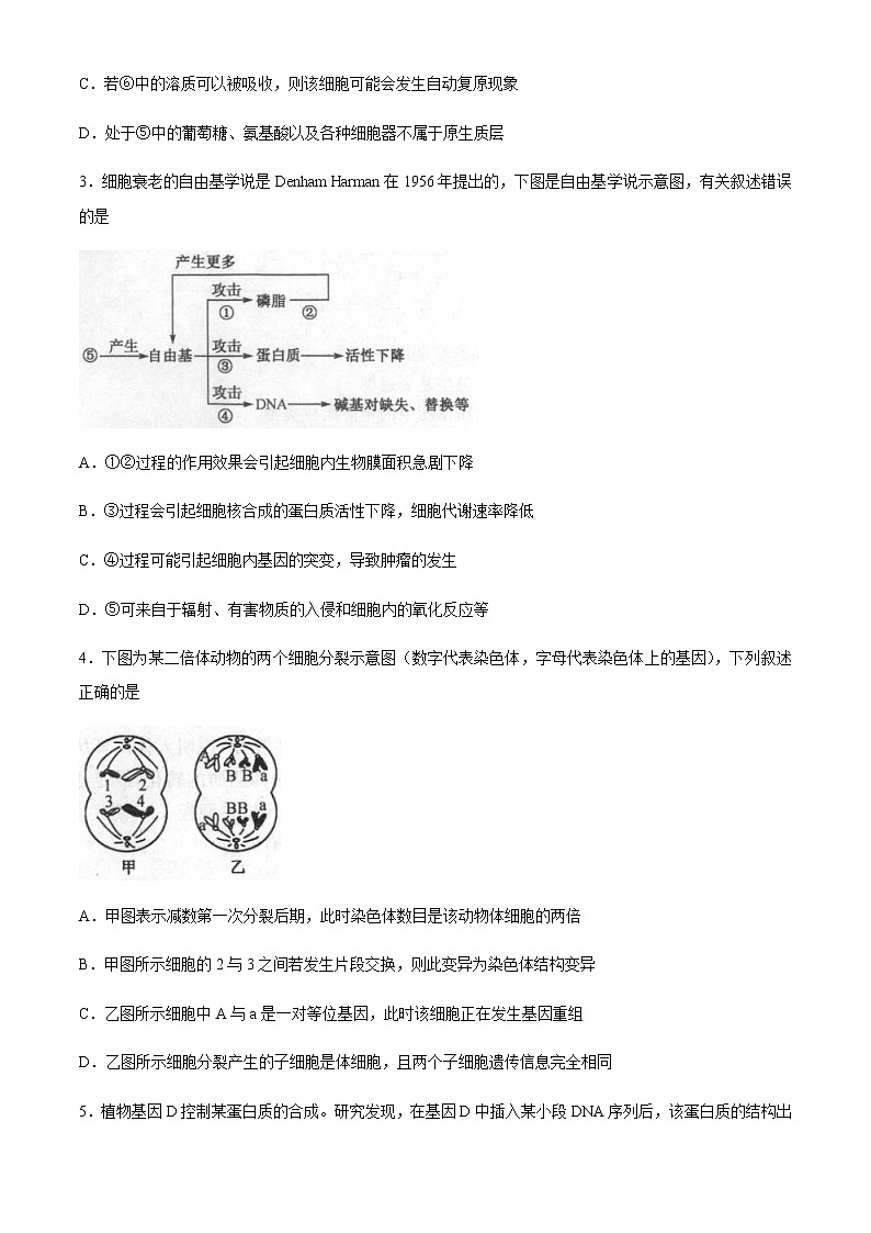 2021山西省山西名校高二上学期期末考试生物试题含答案02