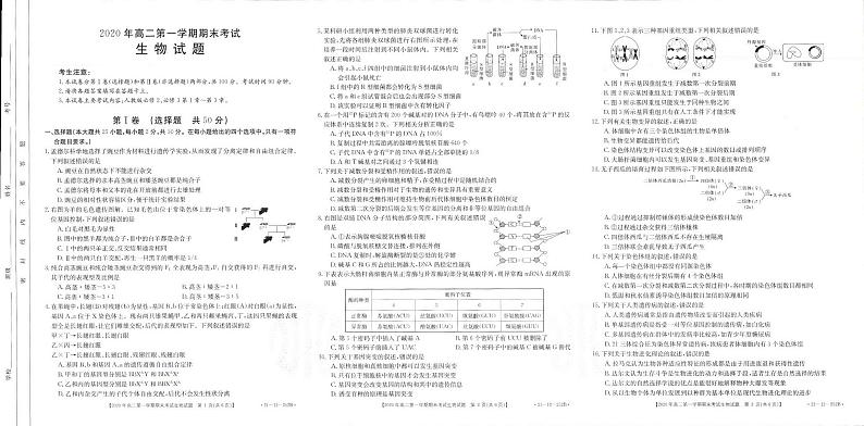 2021安徽省皖西南联盟高二上学期期末考试生物试题PDF版含答案01