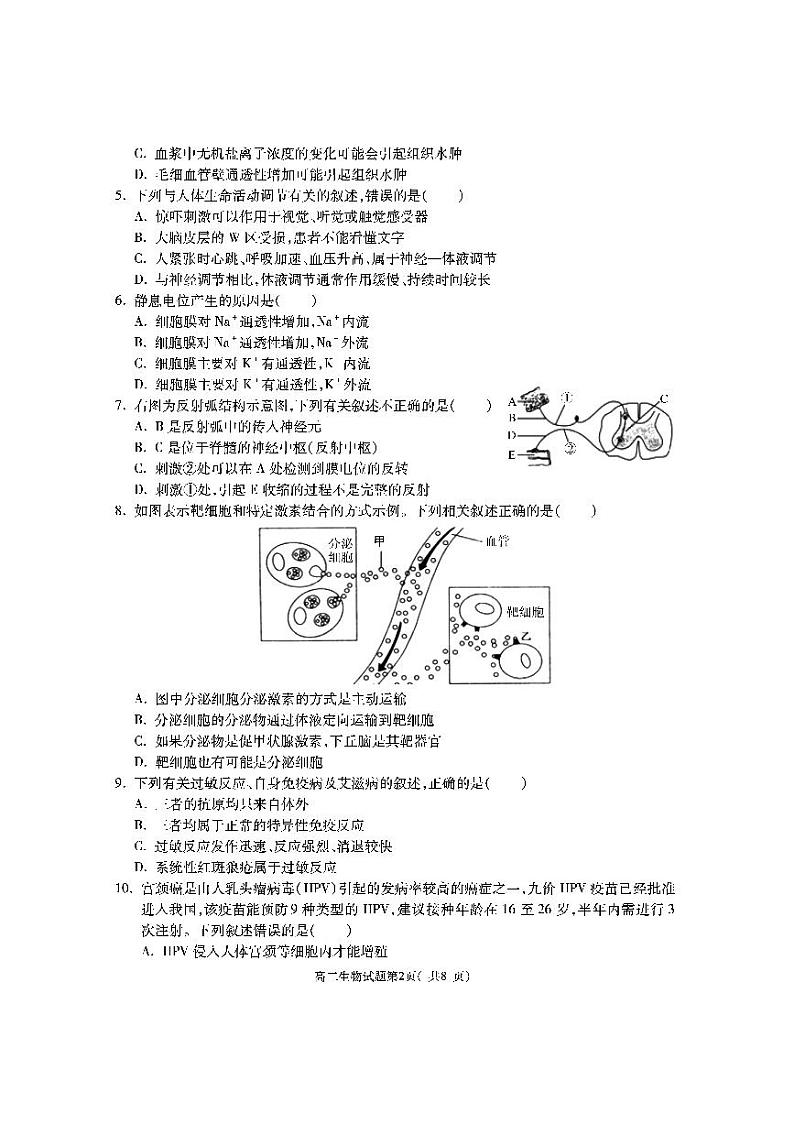陕西省渭南市大荔县2020-2021学年高二上学期期末考试生物试题第2页