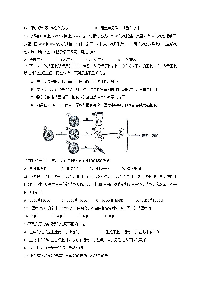 2021玉门油田一中高二上学期期末考试生物试题含答案第2页