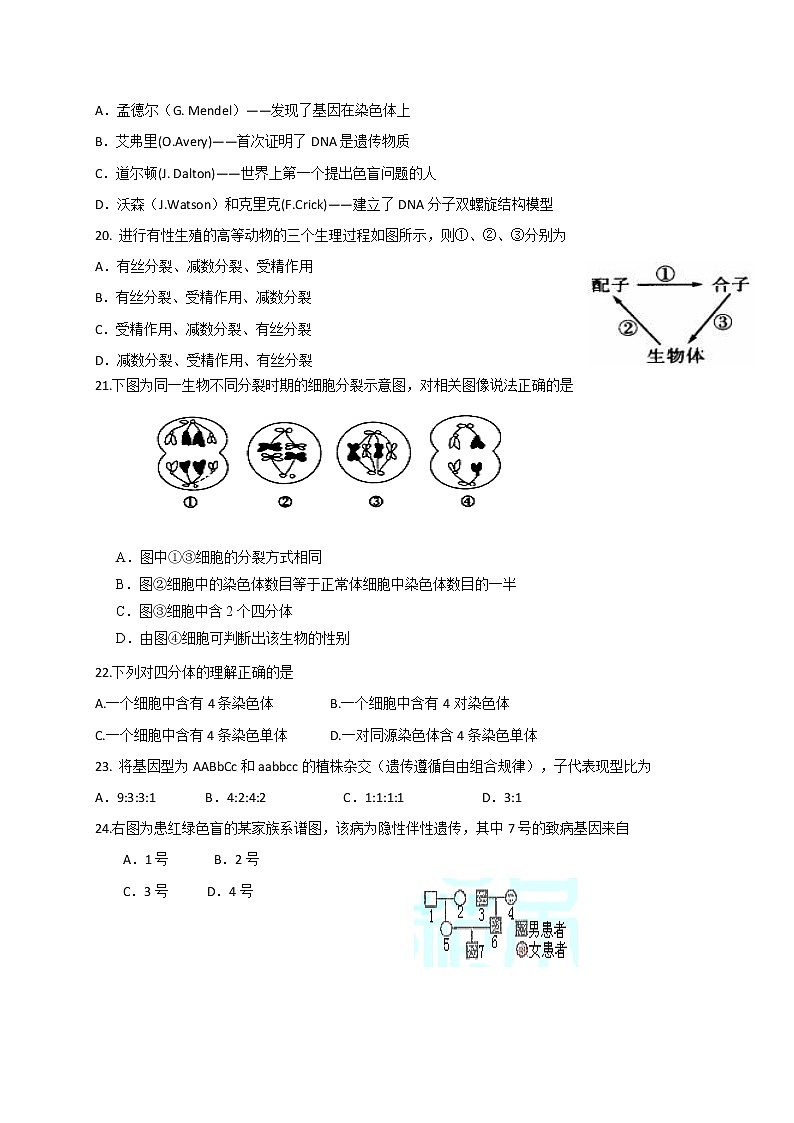 2021玉门油田一中高二上学期期末考试生物试题含答案第3页