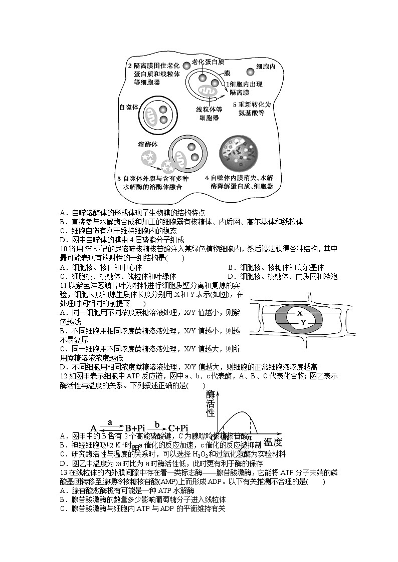 2021江西省上高二中高二上学期第三次月考生物试题含答案03
