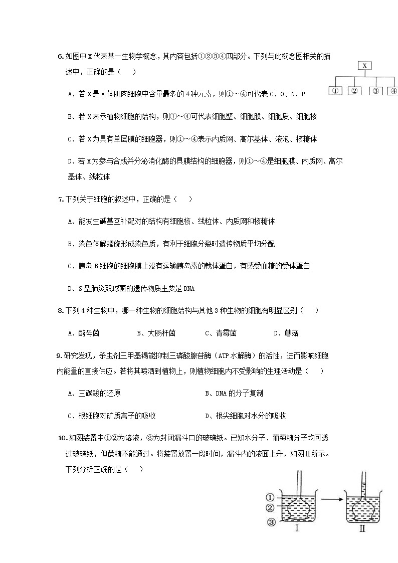 2021磐安县二中高二上学期期中考试生物试题含答案03