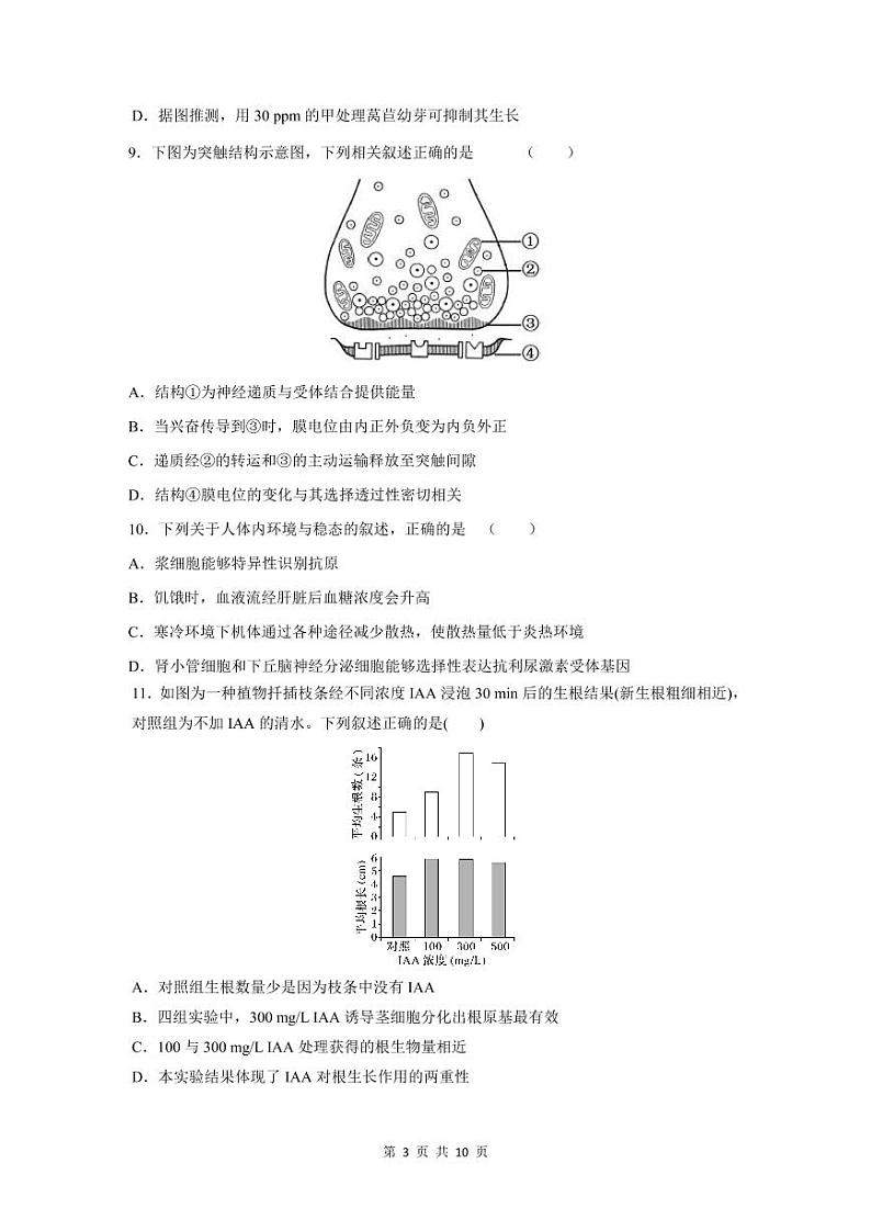 北京市新学道临川学校2020-2021学年高二上学期期中考试生物试题第3页