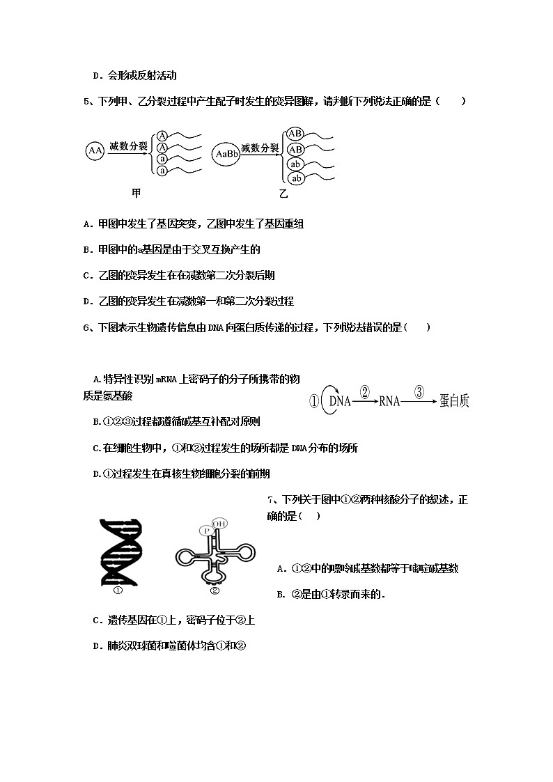2021重庆云阳江口中学校高二上学期第二次月考生物试题含答案第2页