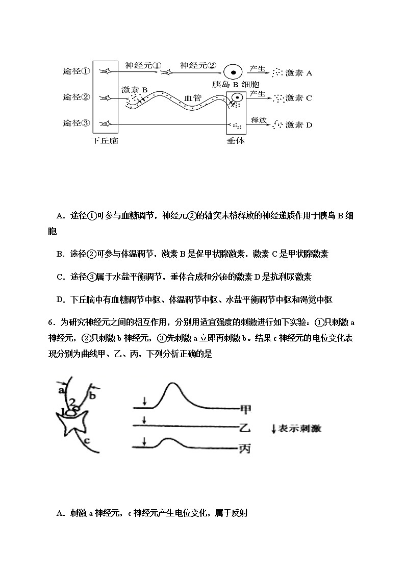 2021济宁嘉祥县一中-高二上学期期中考试生物试题含答案03