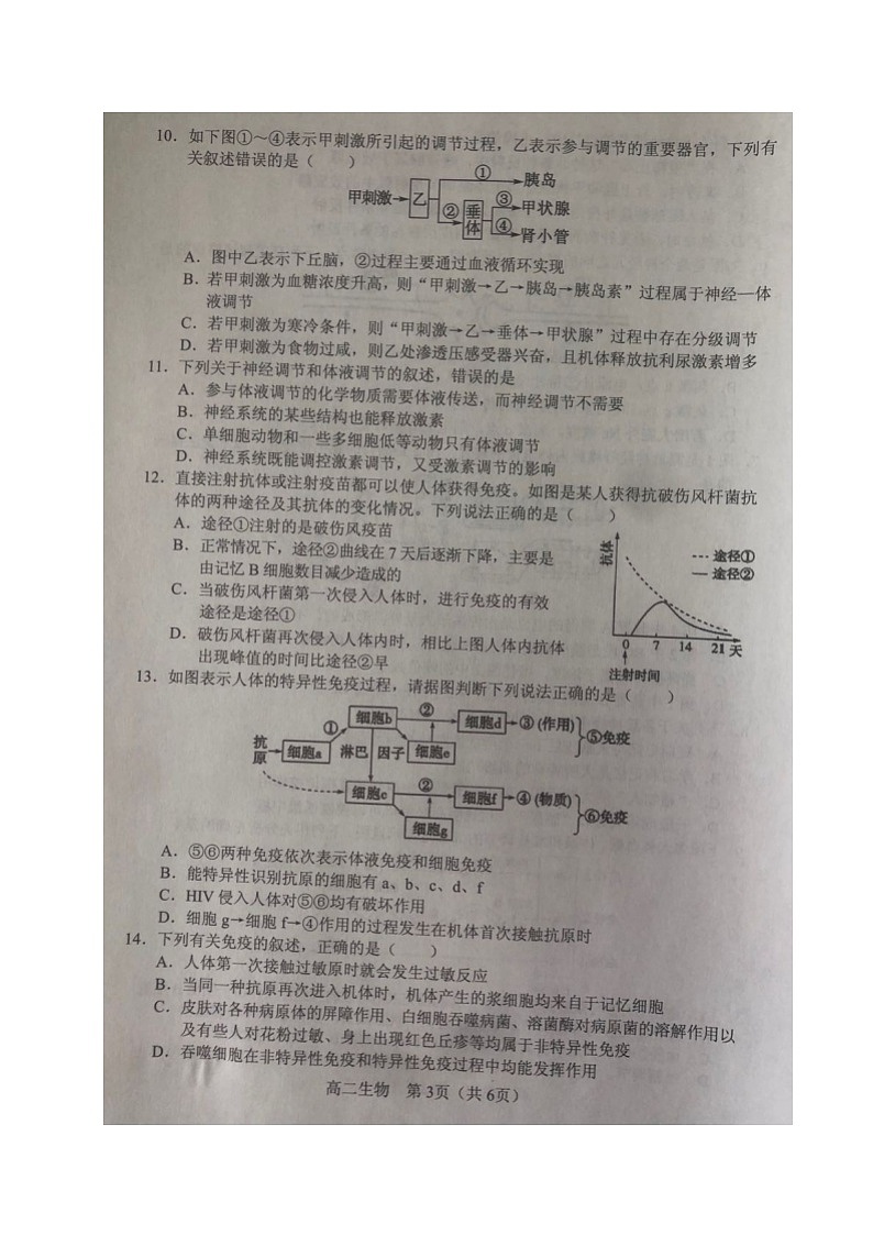 2021沈阳郊联体高二上学期期中考试生物试题扫描版含答案第3页