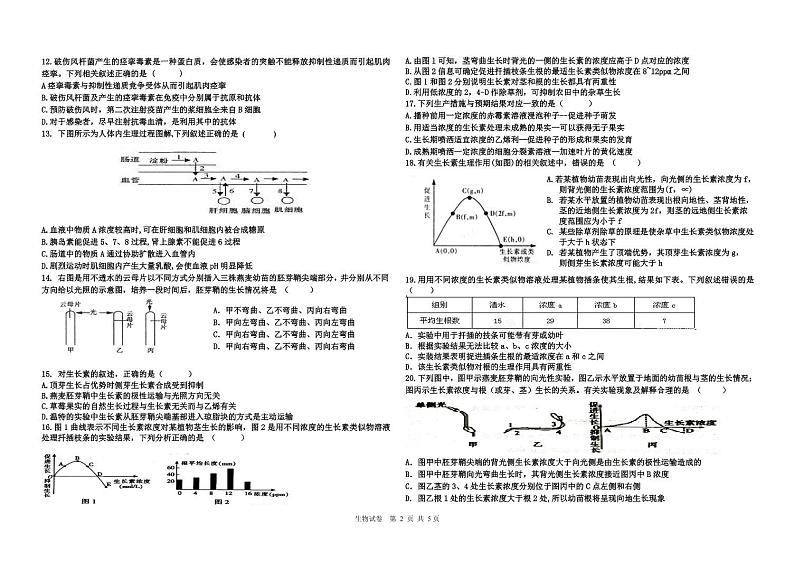 黑龙江省鹤岗市第一中学2020-2021学年高二上学期期中考试生物试题第2页