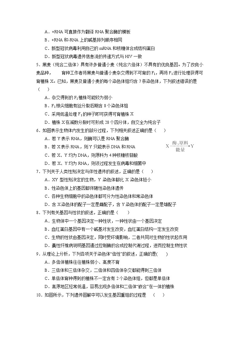 2021静宁县一中高二上学期第二次月考(实验班)生物试题含答案02