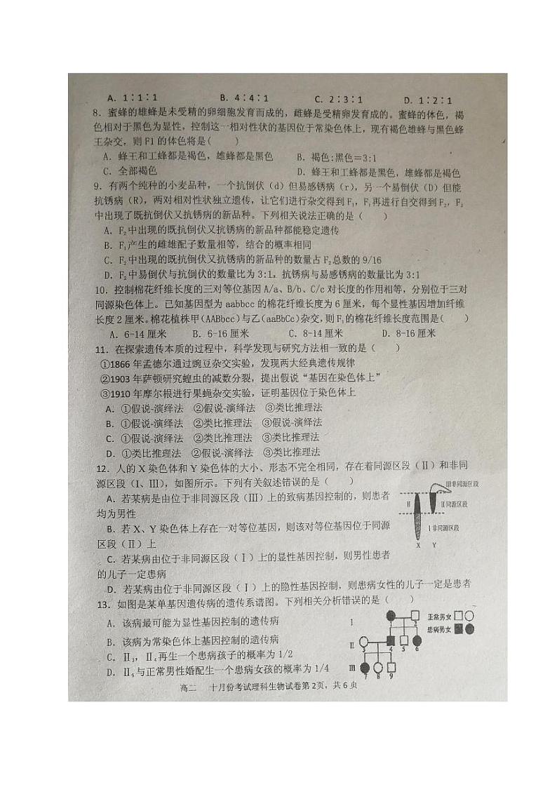 2021广西浦北中学高二10月月考生物试题图片版含答案02