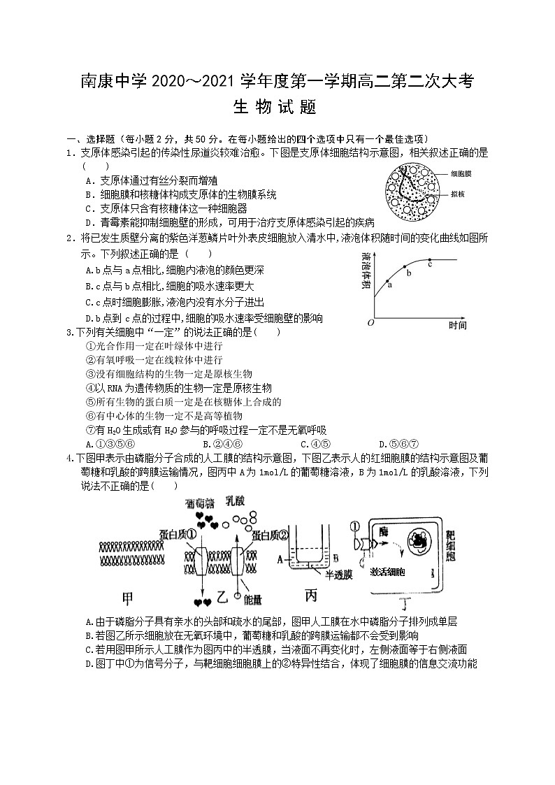 2021赣州南康中学高二上学期第二次大考生物试题含答案01