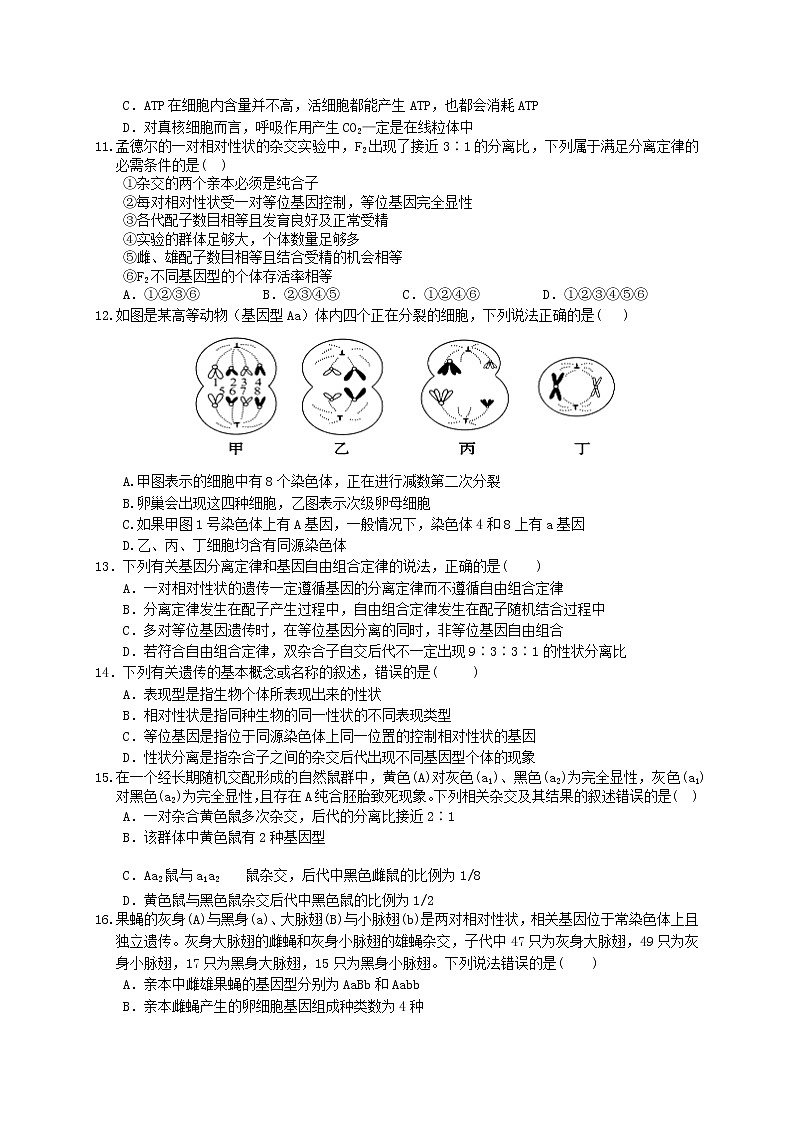 2021赣州南康中学高二上学期第二次大考生物试题含答案03