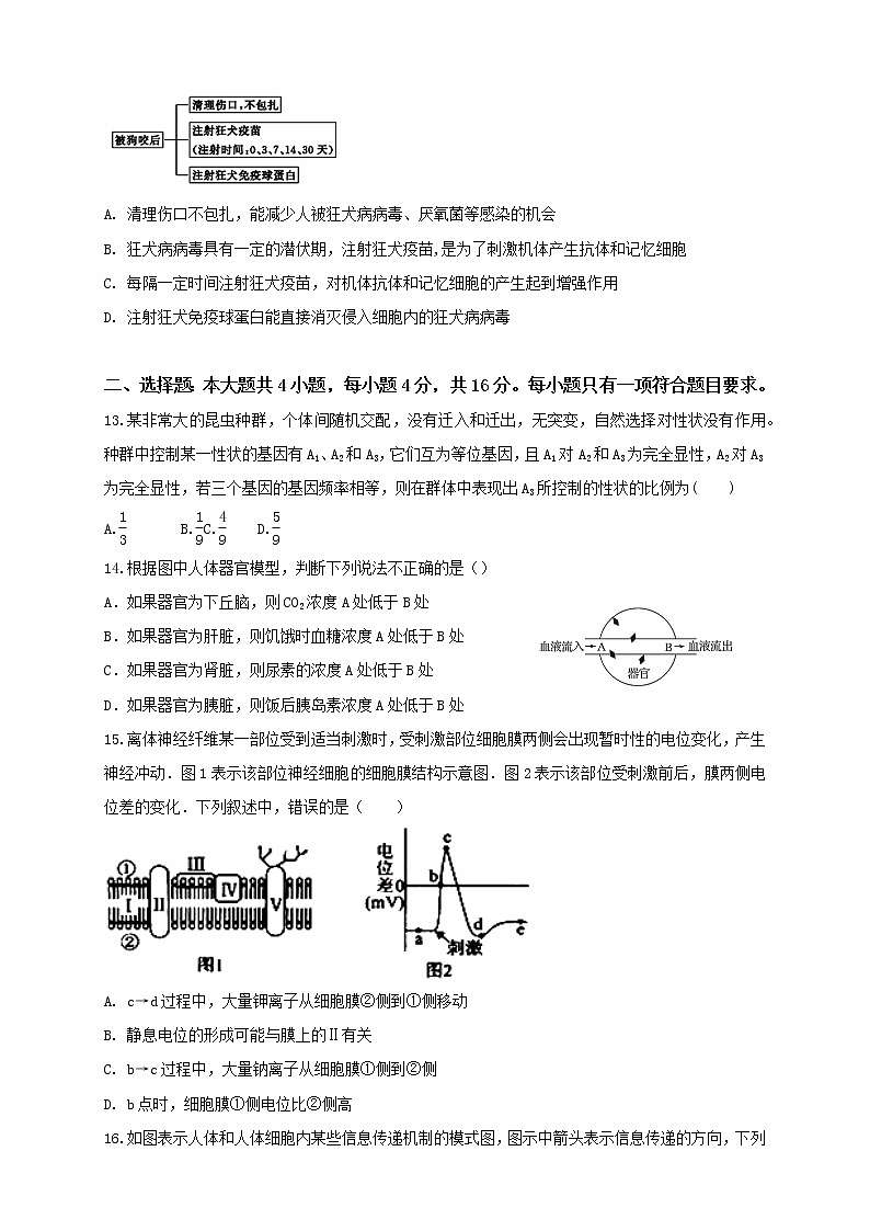 2021汕头金山中学高二上学期10月月考试题生物含答案03