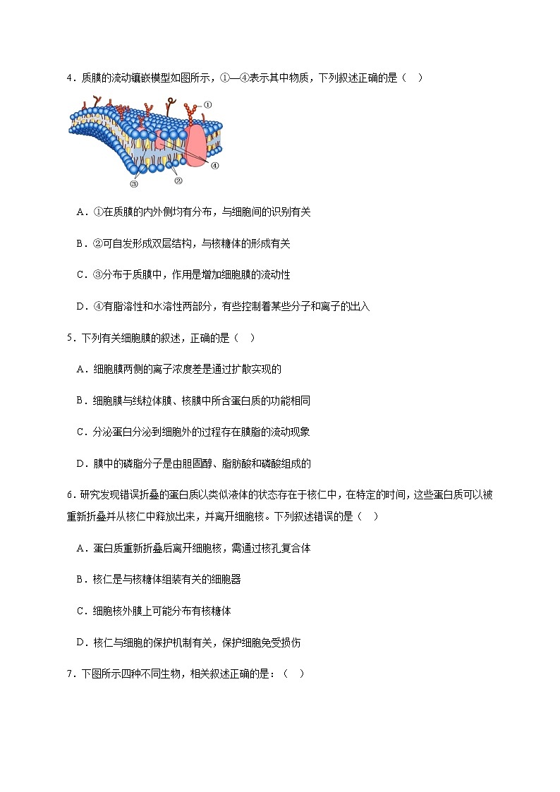 2021宁波诺丁汉大学附中高二10月月考生物试题含答案第2页