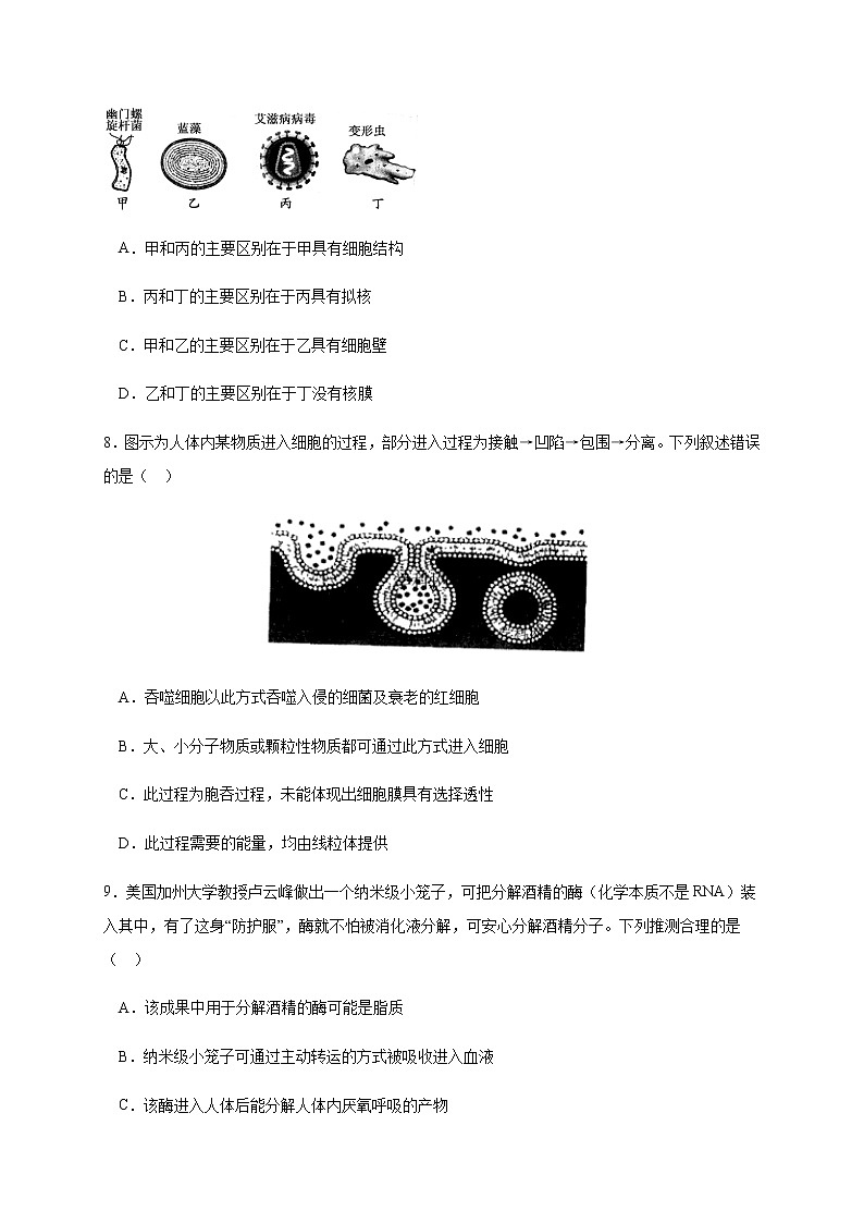 2021宁波诺丁汉大学附中高二10月月考生物试题含答案第3页