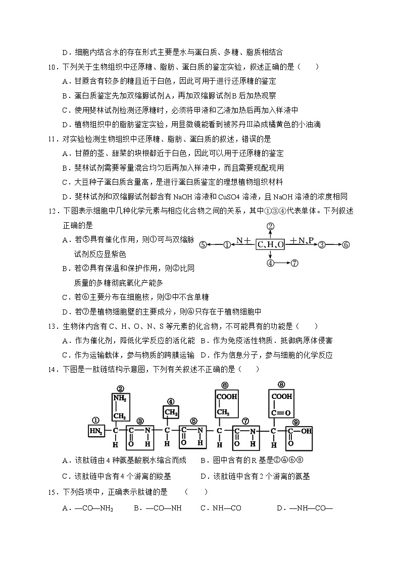 2021武威六中高二上学期第一次学段考试生物试题含答案02