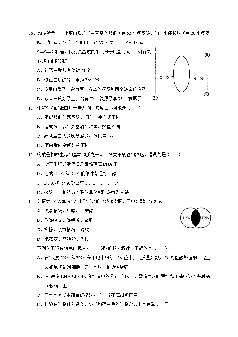 2021武威六中高二上学期第一次学段考试生物试题含答案03