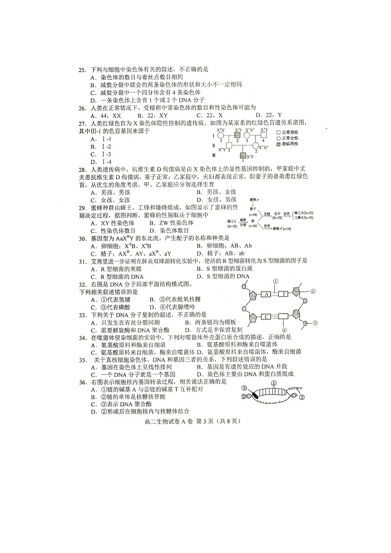 2021唐山高二上学期9月质量检测生物试题图片版含答案第3页