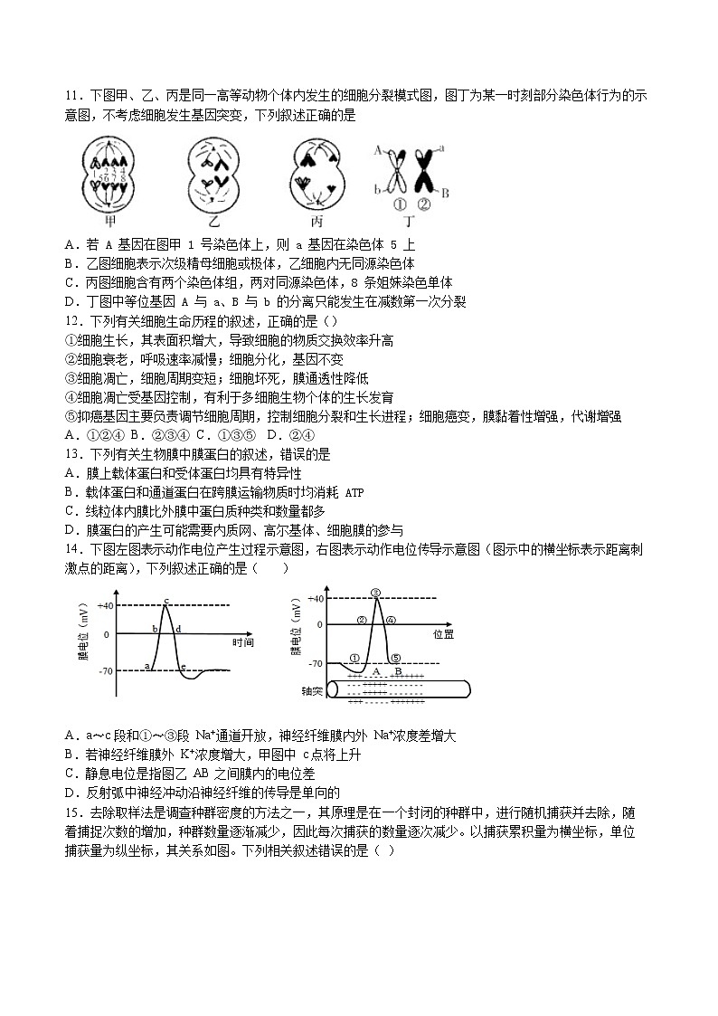 2020唐山开滦二中高二下学期期末考试(线上)生物试题含答案03