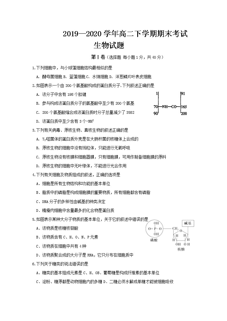 2020白城通榆县一中高二下学期期末考试生物试题含答案第1页