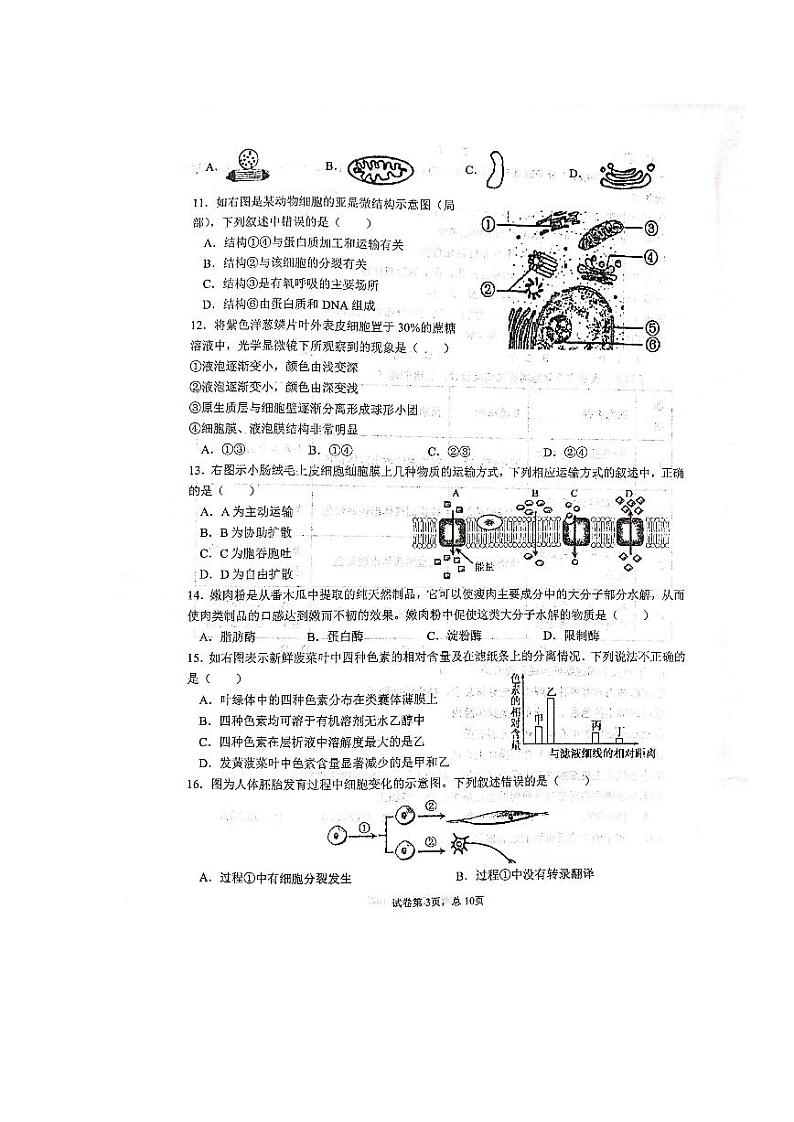 2020天水一中高二下学期学业水平考试模拟(二)生物试题图片版扫描版含答案03