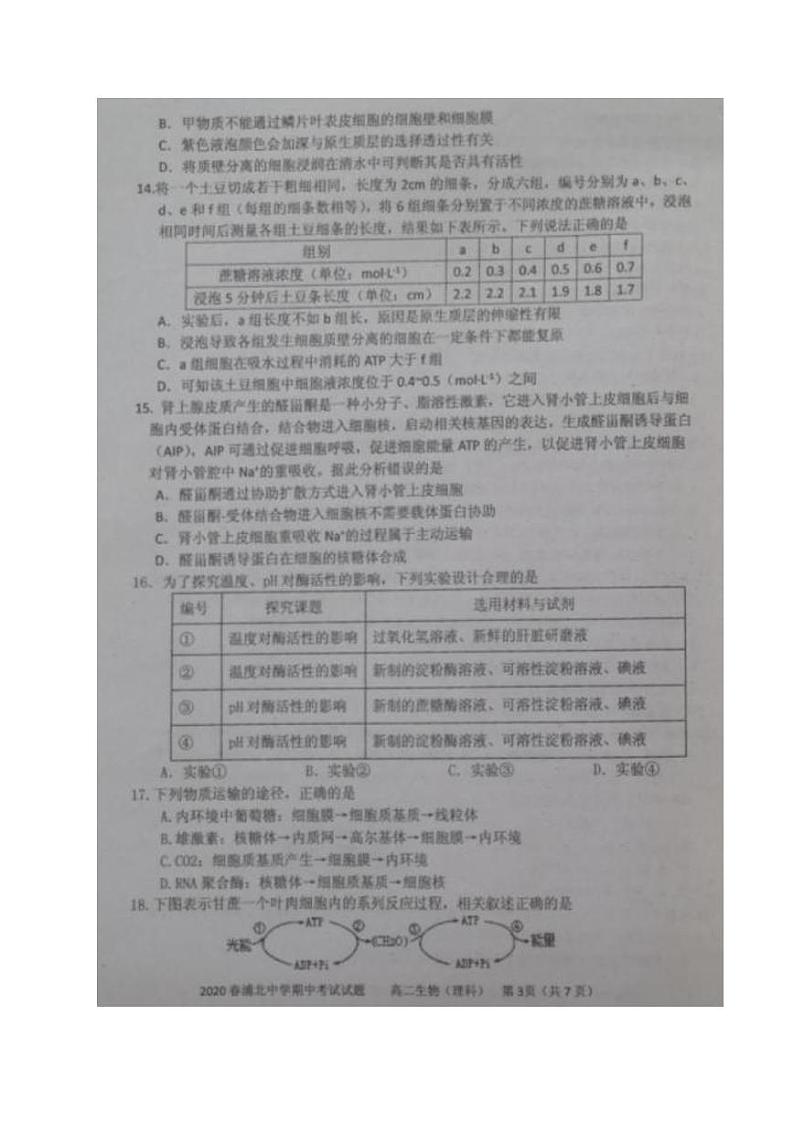 2020广西浦北中学高二下学期期中考试生物试题PDF版含答案03