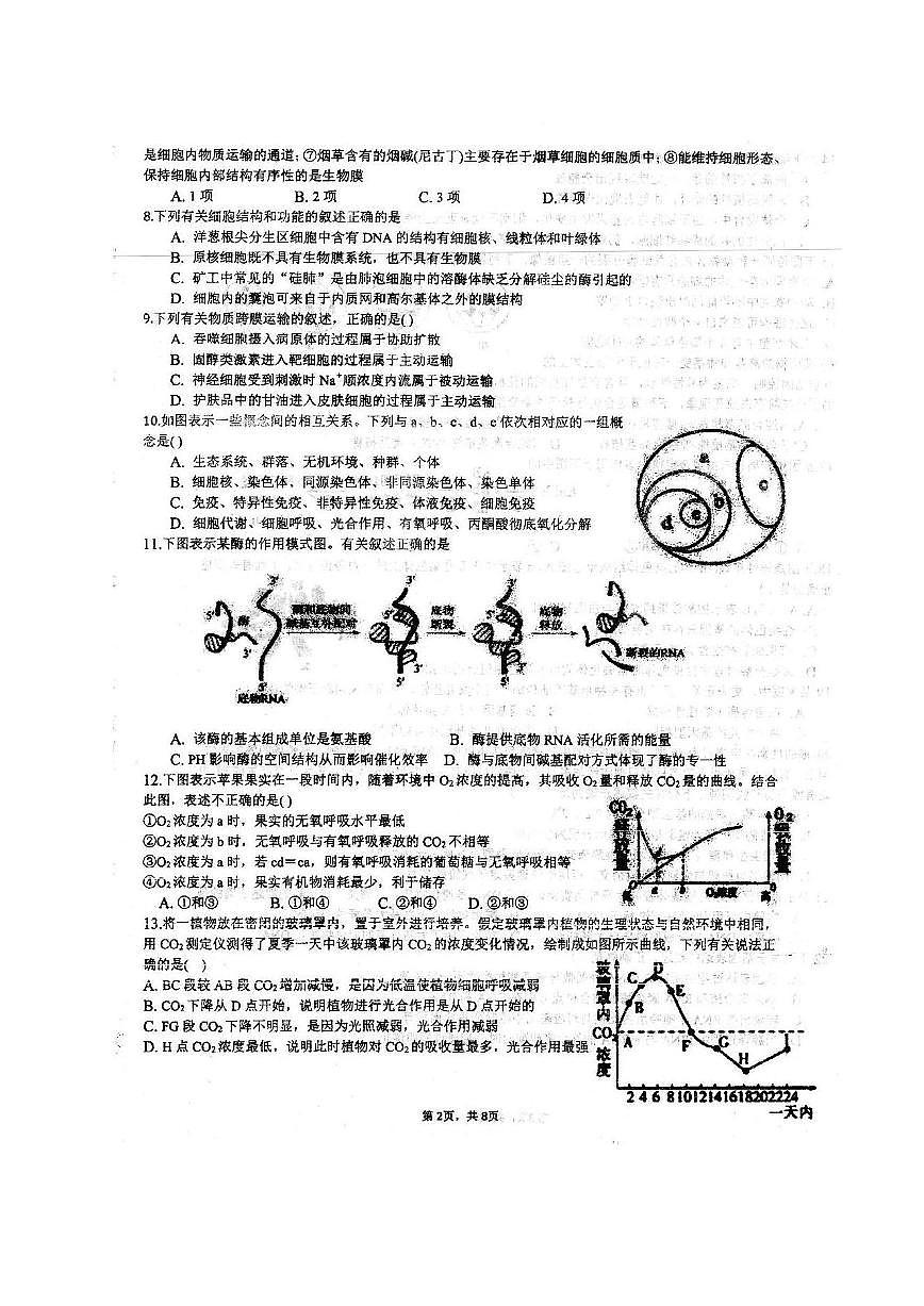 2020安徽省泗縣一中高二下學(xué)期第四次月考生物試題PDF版含答案第2頁