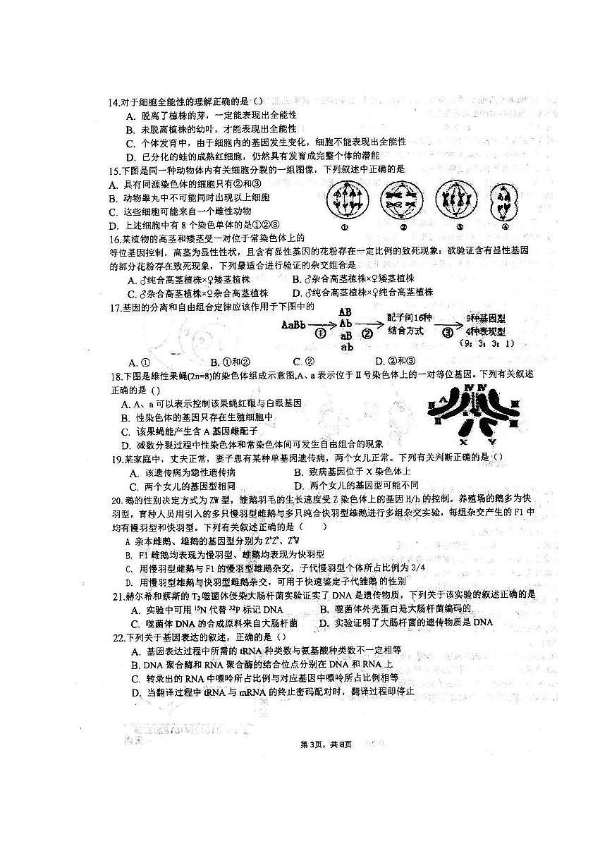 2020安徽省泗縣一中高二下學(xué)期第四次月考生物試題PDF版含答案第3頁