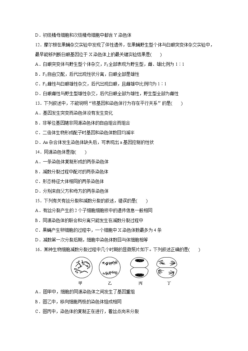 2020武威一中高二下学期期中考试生物试题含答案第3页