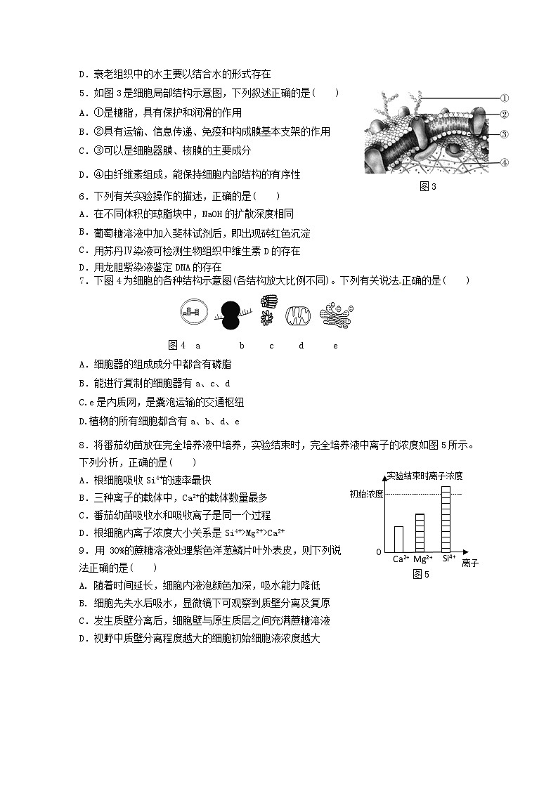 2020济南莱芜一中高二下学期第一次质量检测生物试题含答案第2页