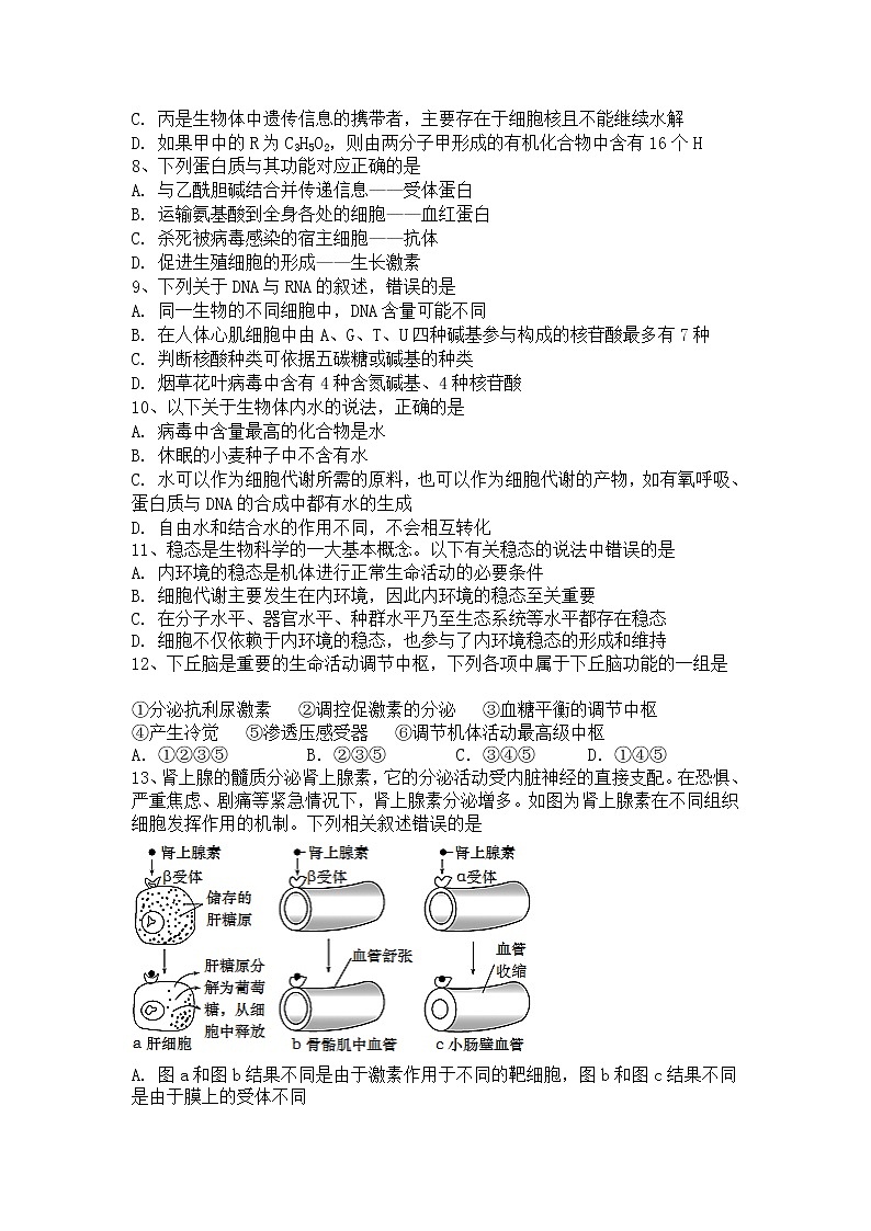 2020辽宁省六校协作体高二下学期期中考试生物试卷含答案第2页