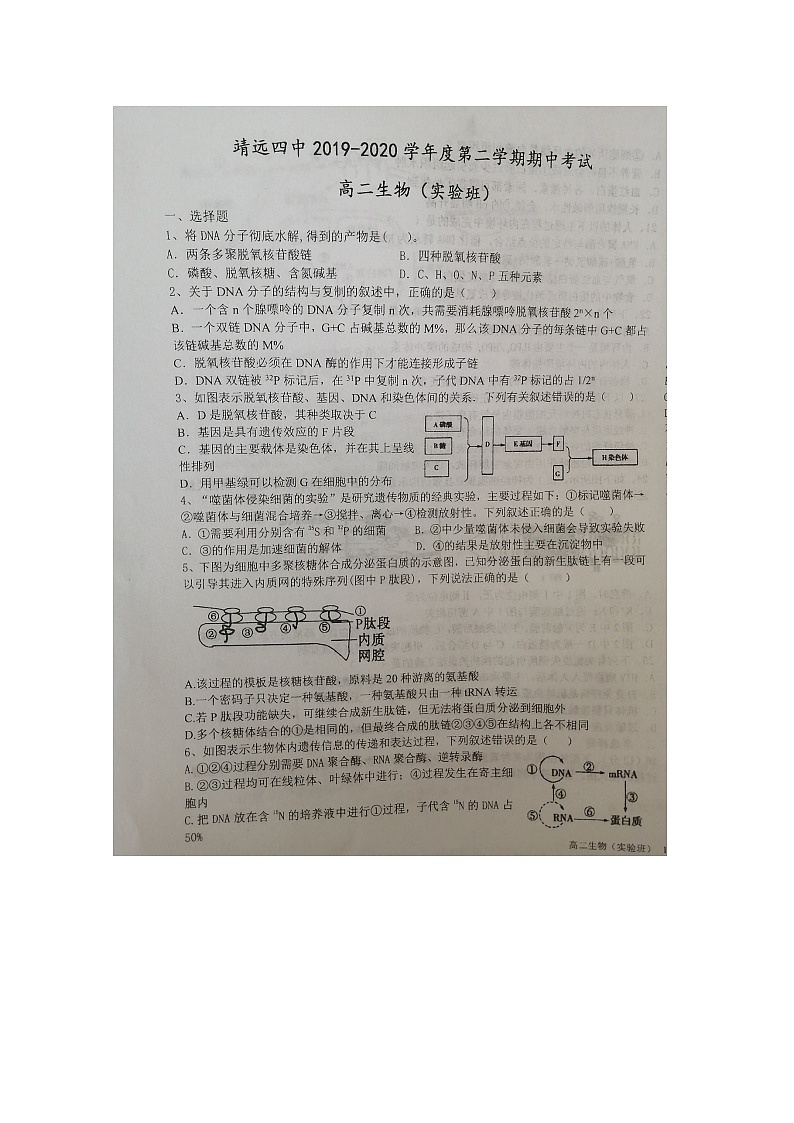 2020靖远县四中高二下学期期中考试生物(实验班)试题扫描版含答案第1页