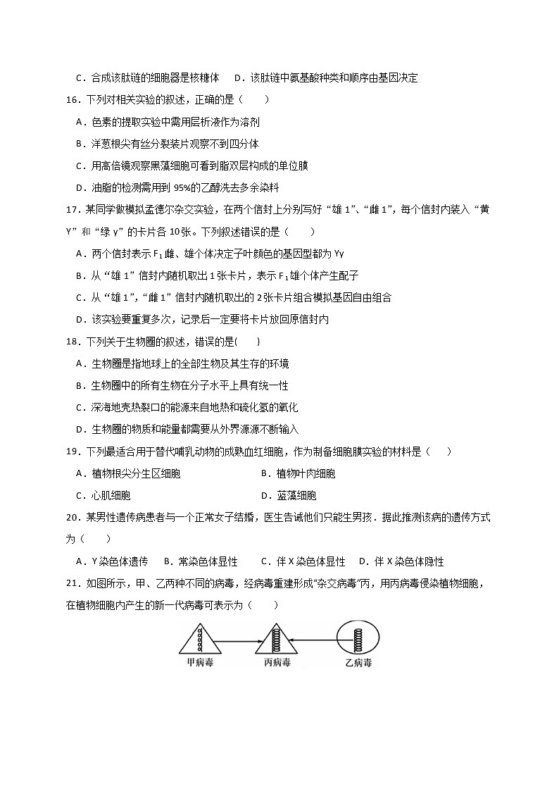 2020浙江省东阳中学高二下学期期中考试生物试题含答案第3页