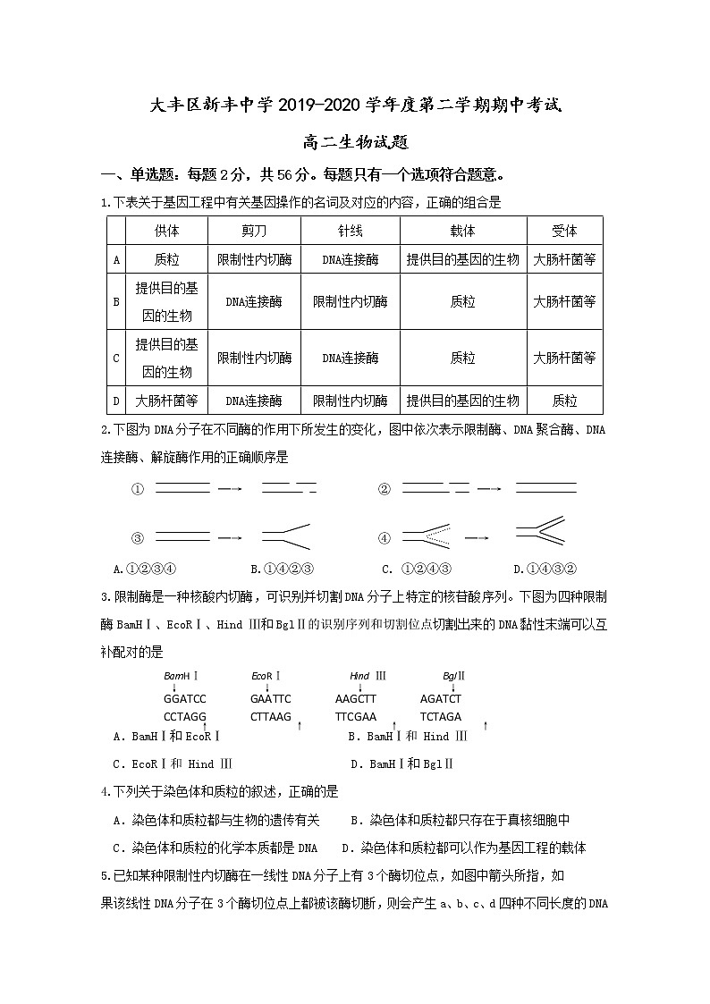 2020盐城大丰区新丰中学高二下学期期中考试生物试题含答案01
