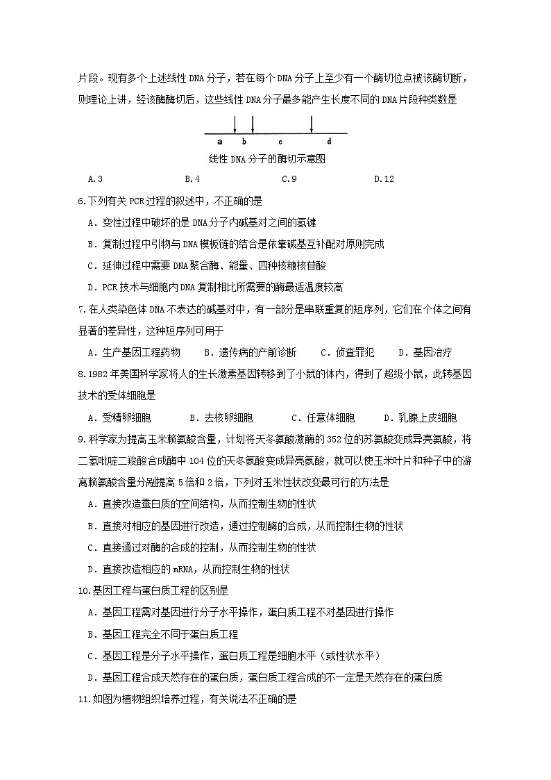2020盐城大丰区新丰中学高二下学期期中考试生物试题含答案02