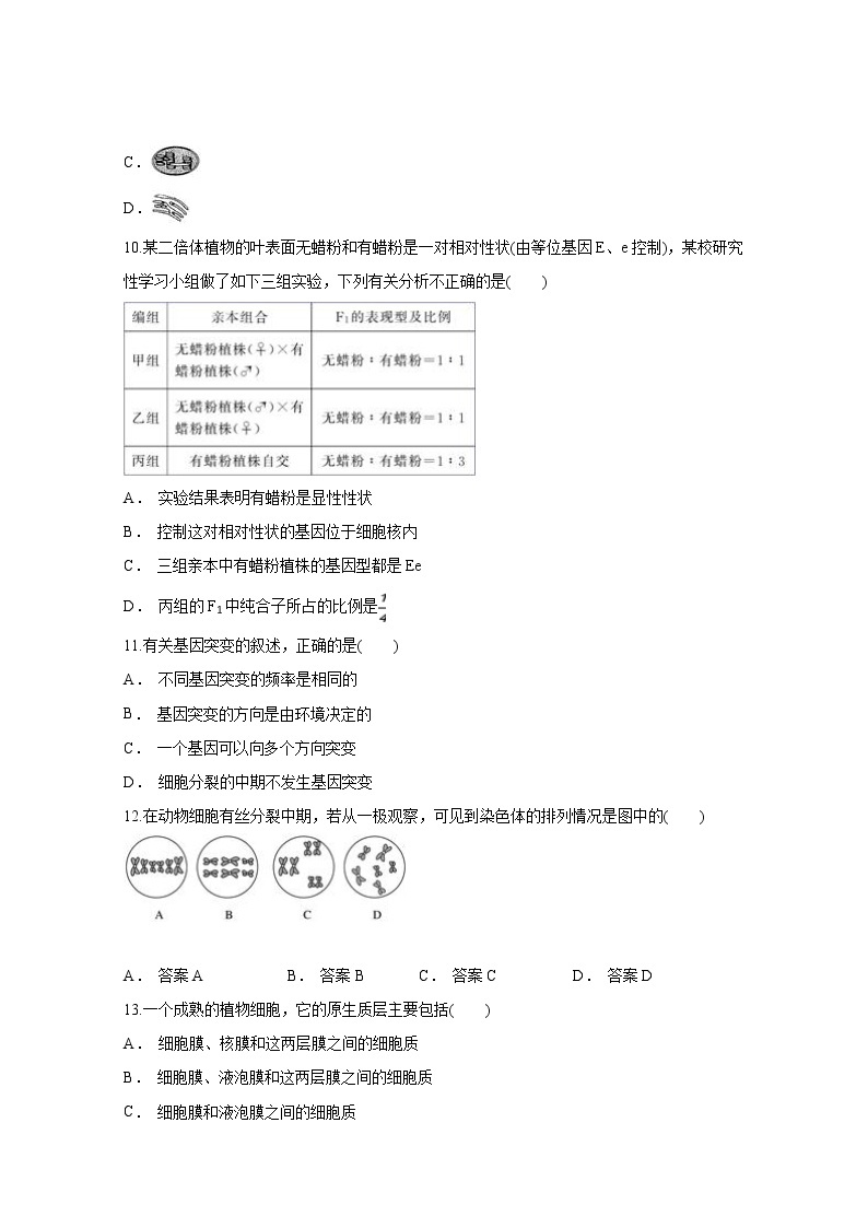 2020省哈尔滨宾县二中高二下学期期中考试生物试题含答案03