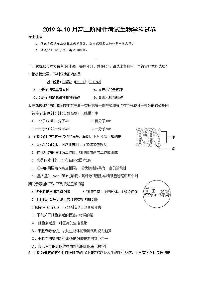 2020台州五校联考高二10月阶段性考试生物试题含答案第1页