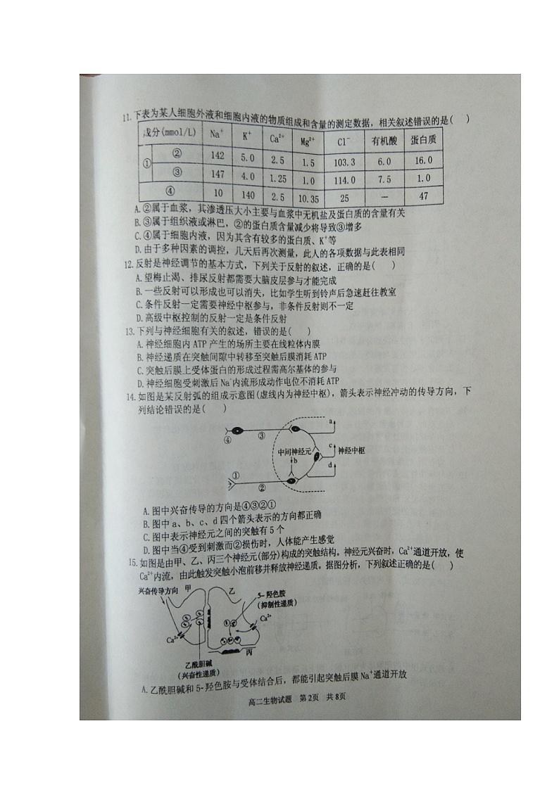 2020枣庄八中高二上学期期中考试生物试题扫描版含答案第2页