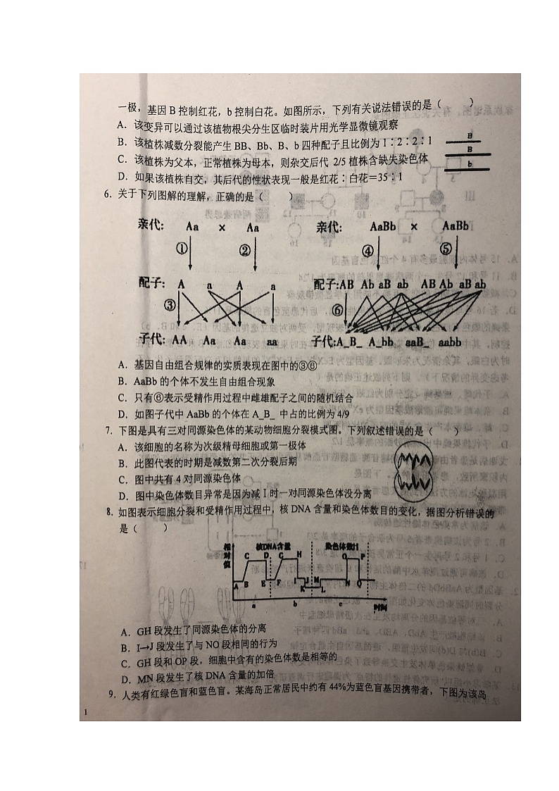 2020六安一中高二上学期周末检测(三)生物试题扫描版含答案第2页