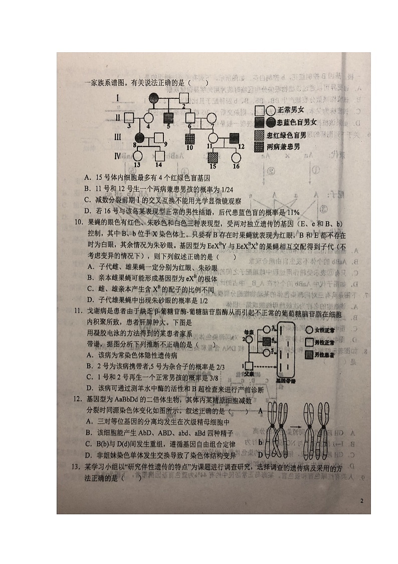 2020六安一中高二上学期周末检测(三)生物试题扫描版含答案第3页