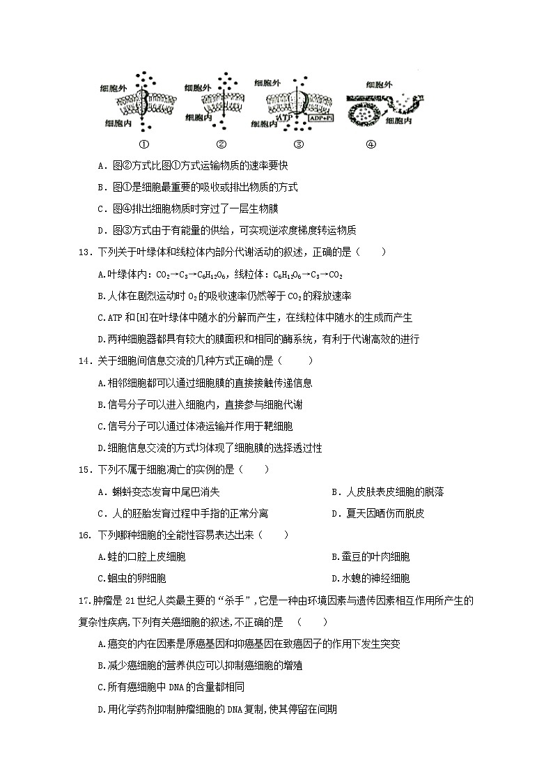 2020海原县一中高二上学期期末考试生物试题含答案第3页