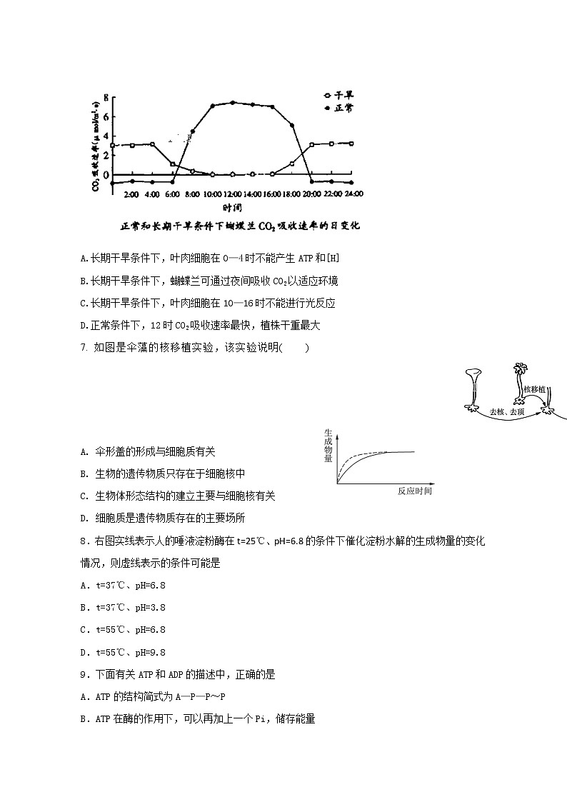 2020洞口县四中高二上学期期中考试生物试题含答案第2页