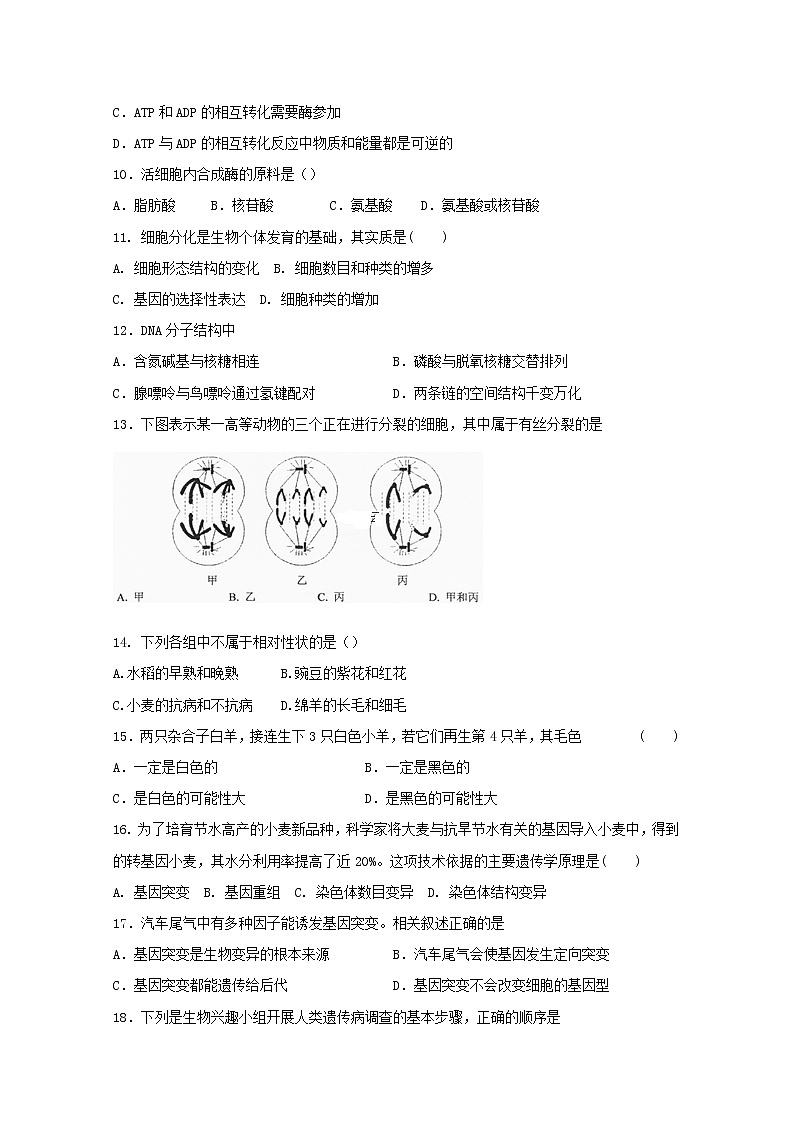 2020洞口县四中高二上学期期中考试生物试题含答案第3页