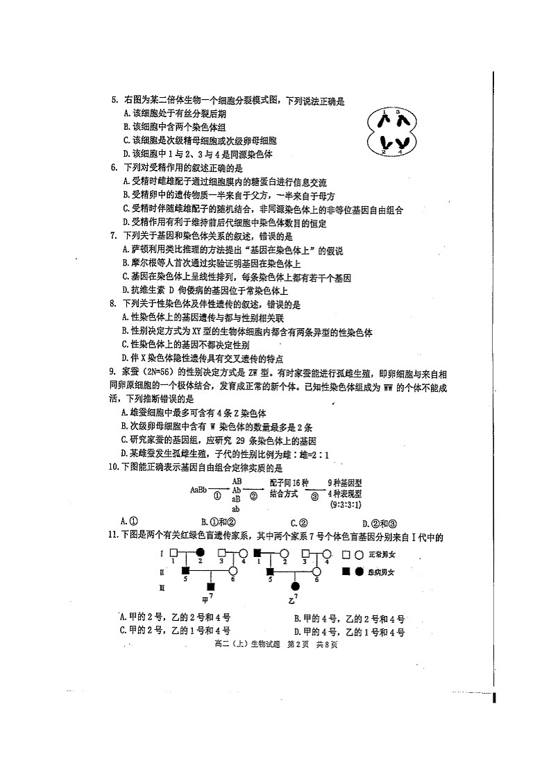 2020重庆市育才中学高二上学期期末考试生物试题扫描版缺答案第2页