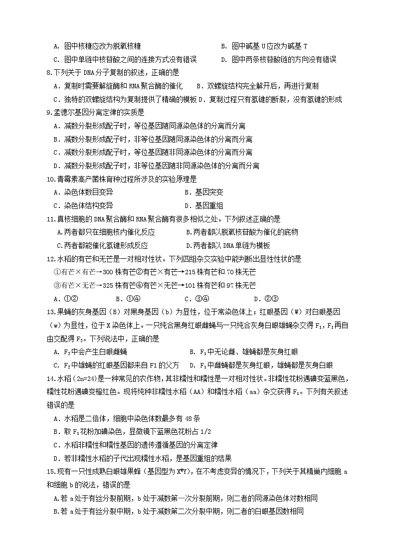 2021南安侨光中学高一下学期期中阶段考试生物试题含答案第2页