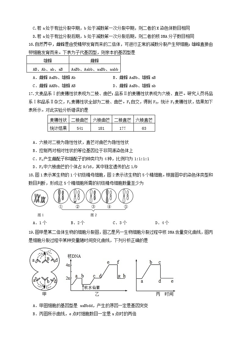 2021南安侨光中学高一下学期期中阶段考试生物试题含答案第3页