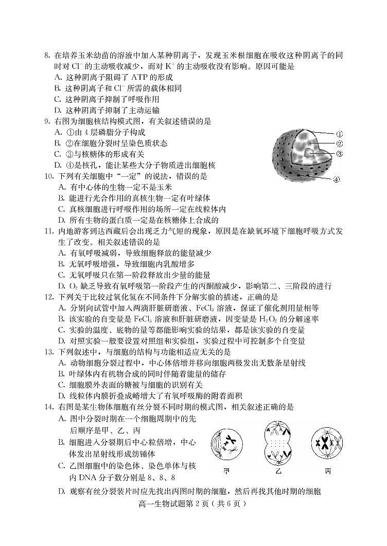 河北省保定市2020-2021学年高一上学期期末考试生物试题第2页