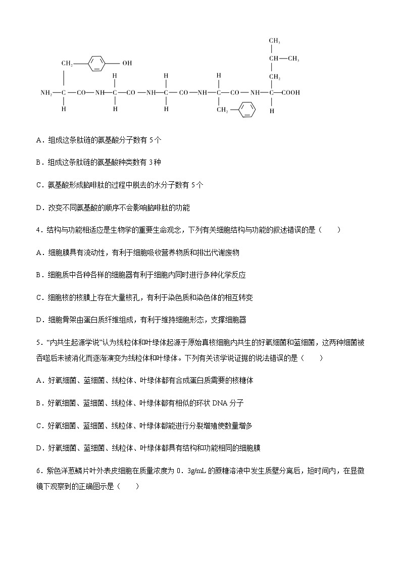 2021汕尾高一上学期期末生物试题含答案02