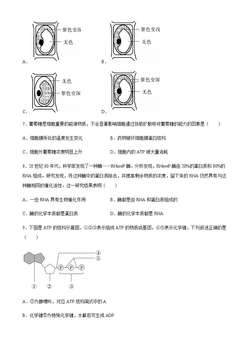 2021汕尾高一上学期期末生物试题含答案03
