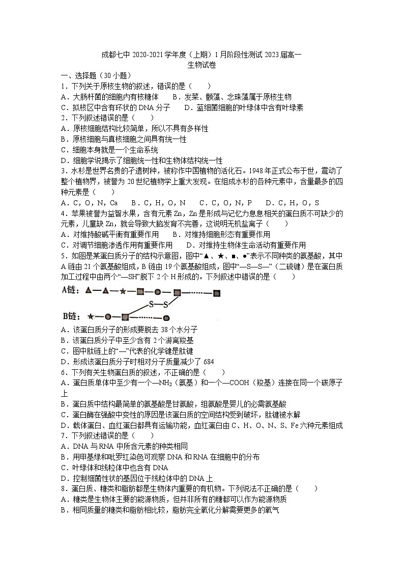2021成都七中高一上学期1月阶段性测试生物试题含答案01